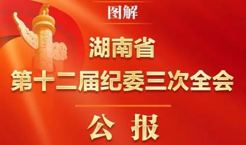 图解湖南省第十二届纪委三次全会公报