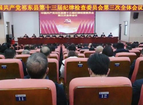 祁东县第十三届纪委第三次全会召开