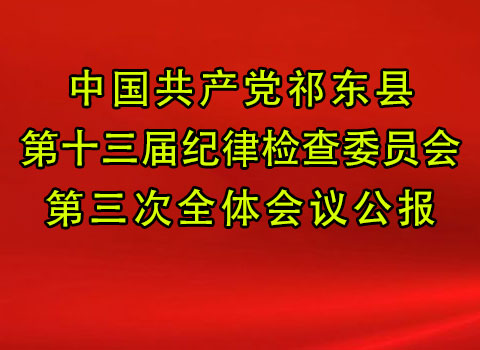 中国共产党祁东县第十三届纪