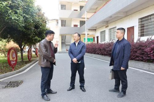 贺光辉“四不两直”到河洲镇、粮市镇、洪桥街道等