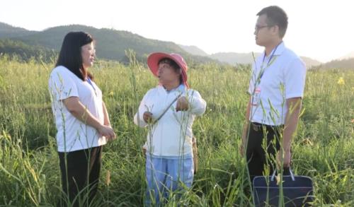 衡有清风丨一朵“小黄花”的成长之路